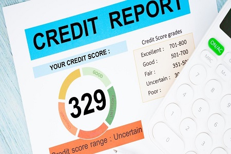 Lesson 19  -  Understanding Credit Reports